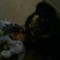 Bear Stogdill